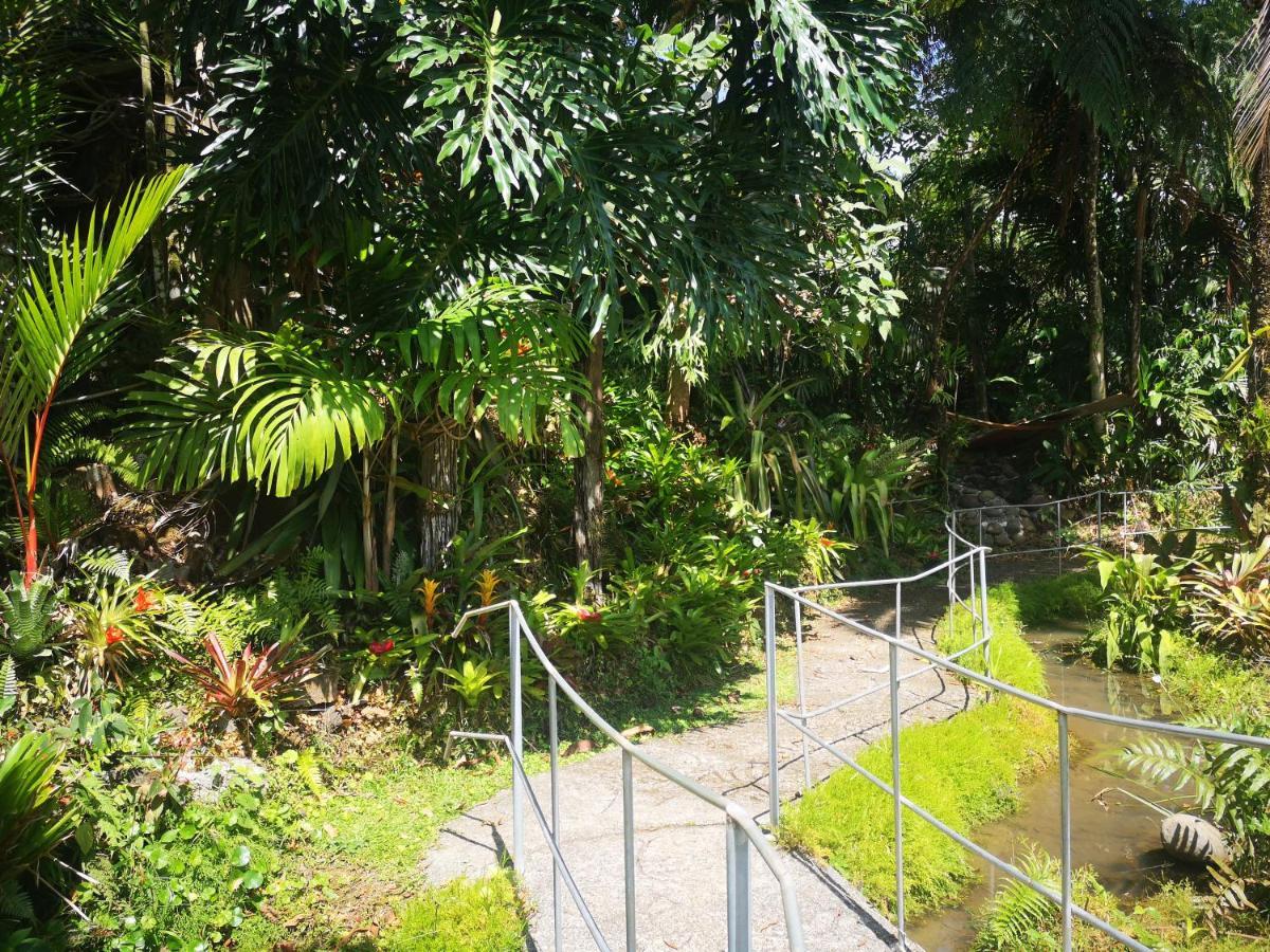 Casa Mendez B&B La Tigra  Bagian luar foto